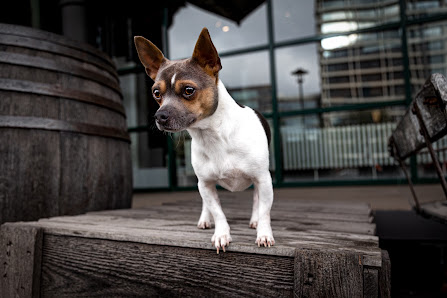 Christian Herzog Photography – Bild 4
