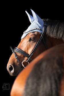 KS-Fotografie – Bild 2