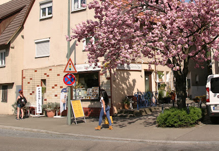 Fotostudio Dillenburger – Bild 2