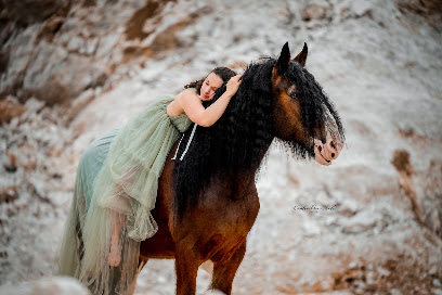 Karolin Marschall Fotografie