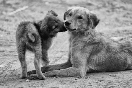 Paul Jannes Photography – Bild 3