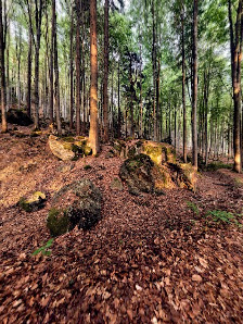 Woidlife Photography – Bild 3