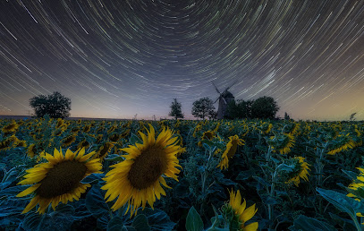 Sebastian Mokross Photography