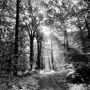 Holger Mischke Photography – Bild 4