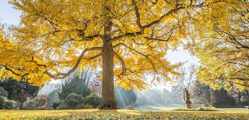 Weinheim Kalender, Fotos und mehr