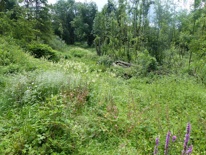 Hochzeitsfotos Mülheim an der Ruhr trau-zeuge.de