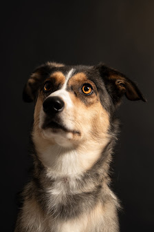 S-thetik Fotografie – Bild 6