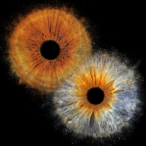 Iris Fotografie Ingolstadt – Bild 2