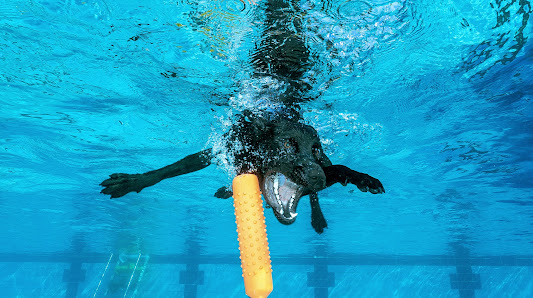HydroVision-Images – Bild 2