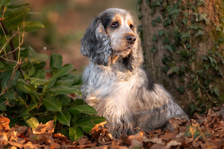 Fotografin für Tierfotografie - in Kassel und Umgebung - mwphotoART - Marika Wagner – Bild 2