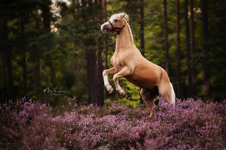 Michelle Ermer (M.E.-Fotografie) – Bild 5