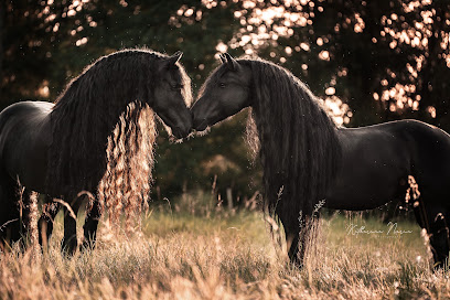 Katharina Maria Photographie