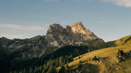 Allgäu Drones