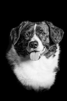 Fotograf ROKI-PICS – Bild 3