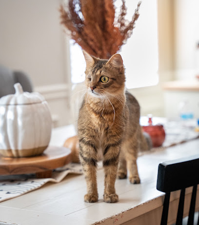 flauschverliebt - Tierfotografie