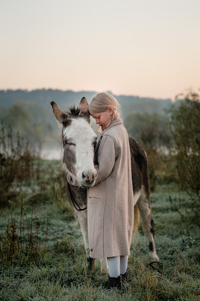 Jeanine Pfaff Fotodesign