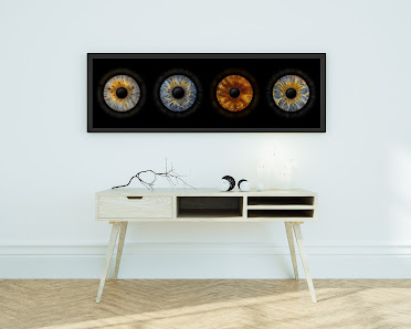 Eyepixx Iris-Fotografie Hannover – Bild 5
