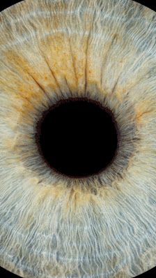Iris Fotografie Ingolstadt – Bild 5