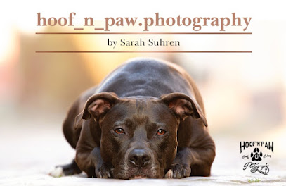 Hoof n paw photography by Sarah Suhren