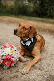 Jessica Schulz Fotografie – Bild 3
