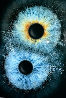 Eyepixx Iris-Fotografie Bielefeld – Bild 3