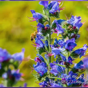 S.GRAF Photography & Photo Design – Bild 4