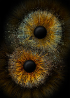 Eyepixx Iris-Fotografie Leipzig – Bild 4