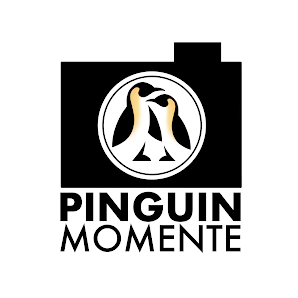 Marco Bachmann Fotograf - Pinguin Momente – Bild 3