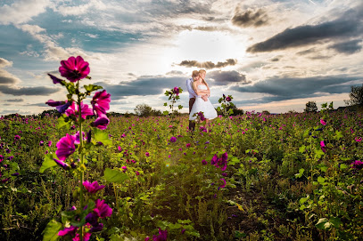 my wedding pictures