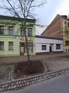 Foto Husar – Bild 6