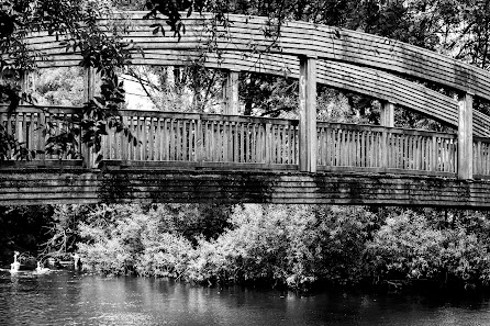 Blogkhana Photography – Bild 5