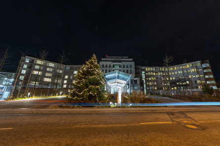 Daniel Fenzl Photography – Bild 3