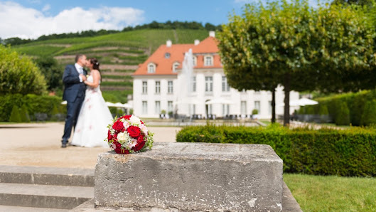 Fotostudio Frank Ullrich – Bild 2