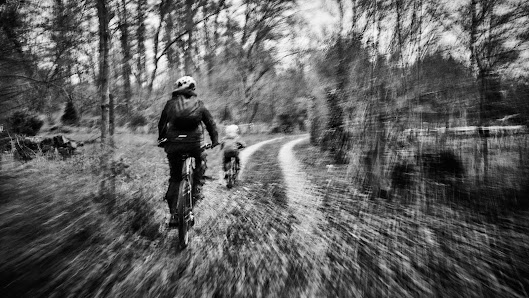 F R E I – Bild 3