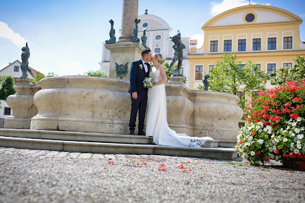 Steve Photography – Bild 7