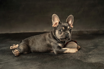 Fotograf Natalia van der Smissen