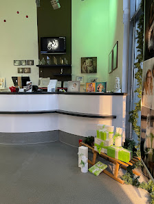 Das Fotostudio Inh. C. Ridgeway – Bild 3
