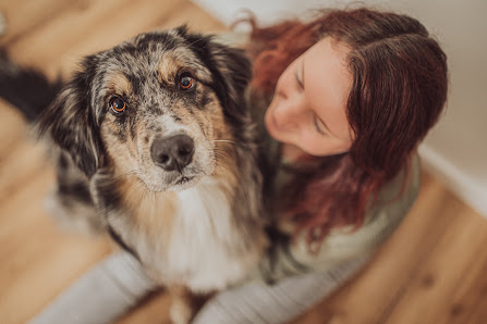 Deine Hundefotografin | Fotograf für Hund & Mensch an der Ostsee in Rostock – Bild 5