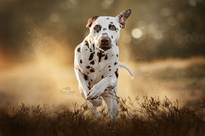 Seelenspiegel Fotografie