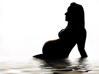 Aladin Photodesign – Bild 3