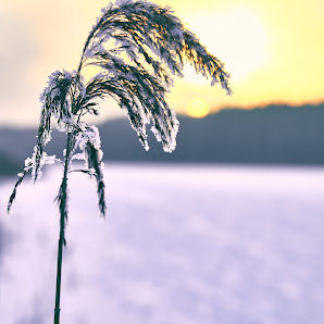 PiRi Fotografie – Bild 3