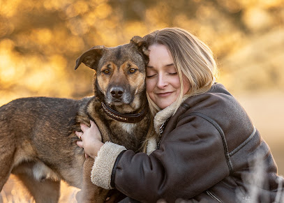 HundeBlick-Photography
