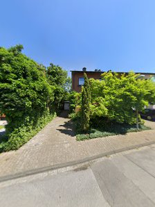 Zebut Pictures – Bild 5