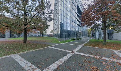 Fotosafari Wiesbaden - Fotokurse und Fotoworkshops