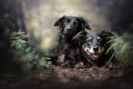 Taika Fotografie – Bild 5