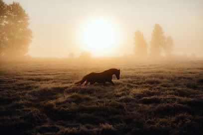 Joliegraphie – Tierfotografie & Grafik-/Webdesign