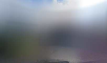 Hirsch Fotografie