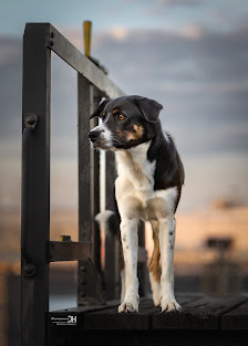 Christian Herzog Photography – Bild 2