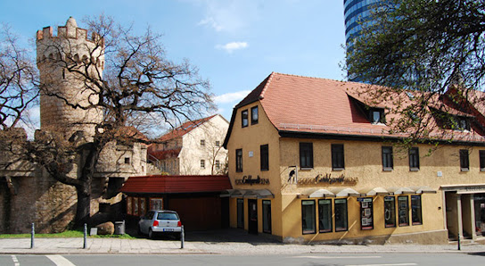 Foto Gebhardt Jena – Bild 2