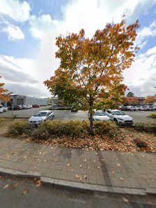 CEWE Fotostation – Bild 4
